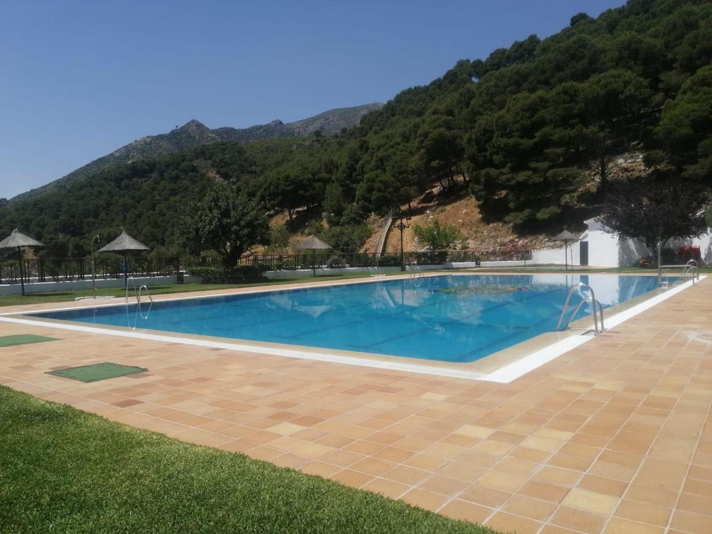 Casa Del Musico *