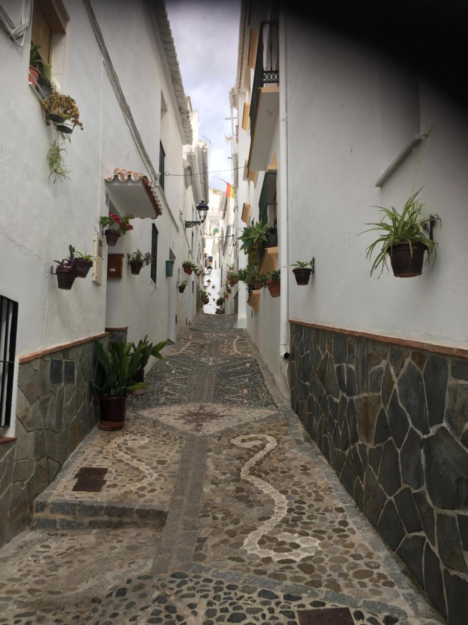 Casa Del Musico