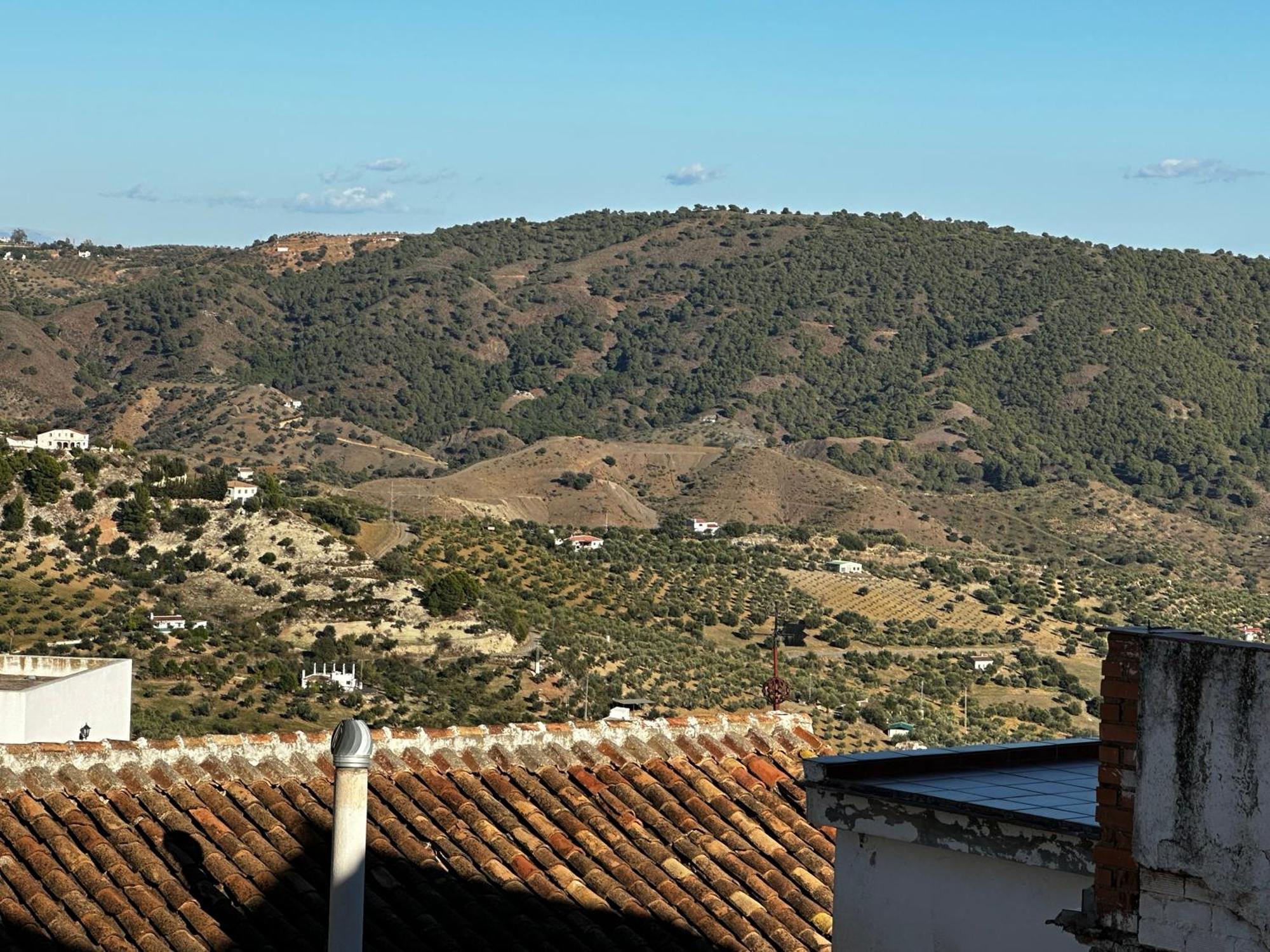Casa Del Musico